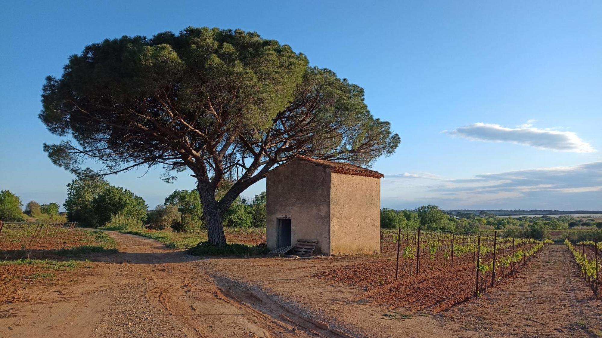 Villa Pays D'Oc Béziers Kültér fotó